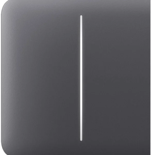 Кнопка Ajax SideButton (2-gang) graphite