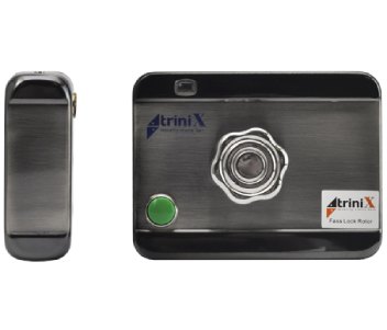 Електромоторний замок Fass Lock Rotor