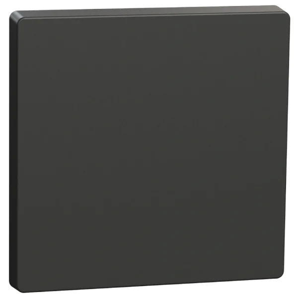 Клавіша Schneider Electric Merten System Design MTN3300-6034