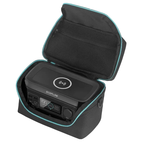 Сумка EcoFlow RIVER mini Bag