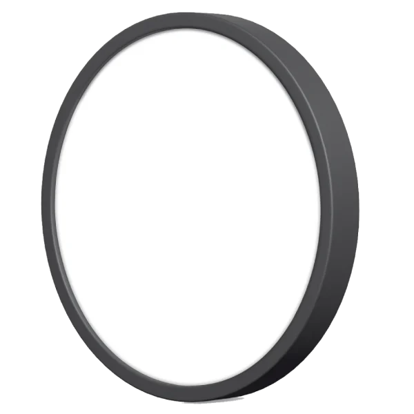 LED світильник накладний круглий Black VIDEX 24W 5000K 220V