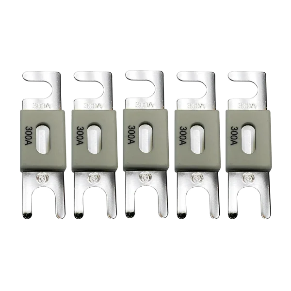 Запобіжник Victron Energy ANL-fuse 300A/80V (5 pc)